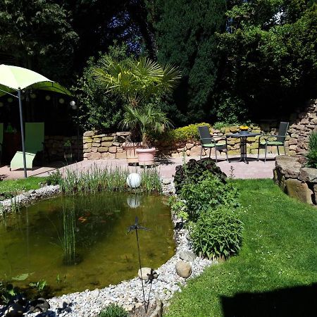 Ferienwohnung Trommblick - Natur Pur - Rimbach Im Odenwald Ngoại thất bức ảnh
