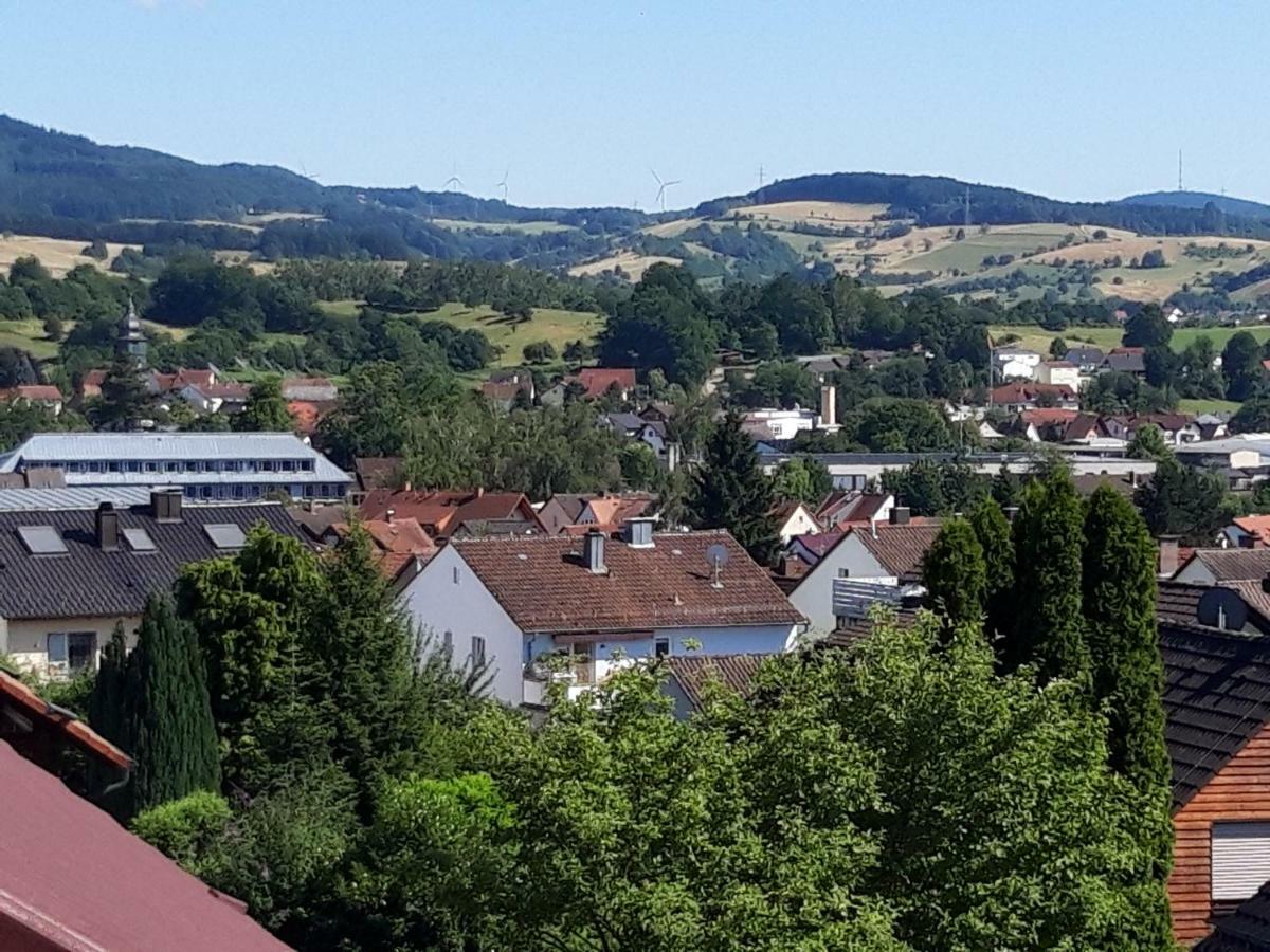 Ferienwohnung Trommblick - Natur Pur - Rimbach Im Odenwald Ngoại thất bức ảnh